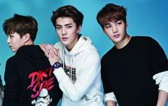 세슛카)세상에서 가장 완벽한 삼각형..