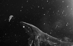 ㅅㄷ)우주썰 한 번 풀어봤는데