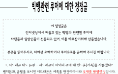 빅뱅관련루머 정정글