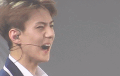 ㅅㄷ)이 사진보면 