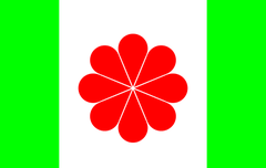 쯔위야 다음엔 이걸 흔들렴