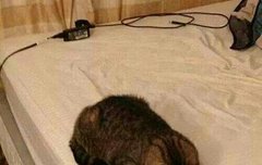 ㅅㄷ) 500러들 어디갔어...