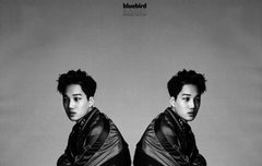 카142디) 북1극8의 여~/;1름은