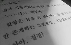 ㅂㄷ) ㅅㅍㅈㅇ홍1염 도착했는데