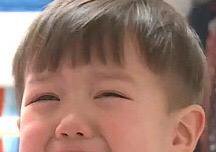 ㅅㄷ) 진지하게 올1비 몇명이냐