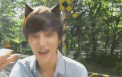 ㅅㄷ ) 현실이 알퐈5메가라면? 골라