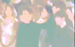 ㅊㅂ)나만이거ㅈㄴ귀엽냐...