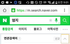 엄지 검색어 정화운동