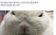 ㅅㄷ 감풍들이 부러워할 것 같은 내 특기