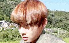 나의사랑태형이