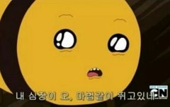 벌인형가지기 프로젝트