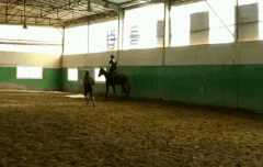 늦은감이없지않아있지만.