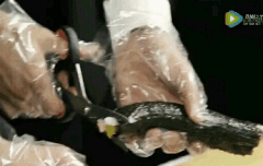 인어들 뜬금이지만 김밥 꽁다리 안머거?