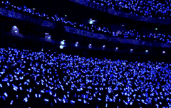 슈주랑 소녀시대 응원봉 움짤가지고 뭐라하던 사람들 다 봤으면... (책상 쾅쾅)