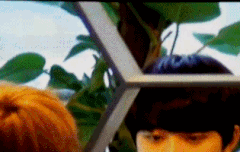 ㅂㄷ) 이 짤은 진짜 레전드야...