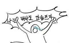 팬톡에서 다들티켓팅성공했다는글보고