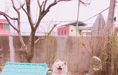태형이의 그녀