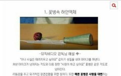 로리타 반박을해도