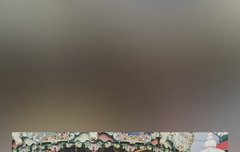 [블락비] 벌님들 도와주십쇼