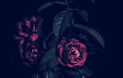 종인이와 꼭닮은 꽃