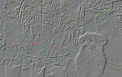 우오즐찾수좀늘었다