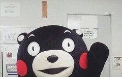 쿠마톡입니다첫개장했어요!