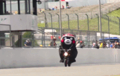 쿠마움쨜나눔합니다~~