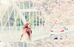 믕지순위내려갔어도