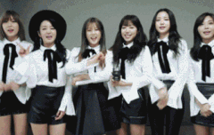 우리팬들 악개많은듯