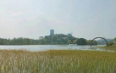 마음의안정에는 토토톡이지