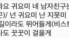 저기... 타팬인데요