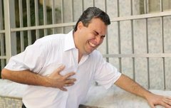 벌들 엠투 봤어?