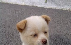 뭐가 졸립습니까