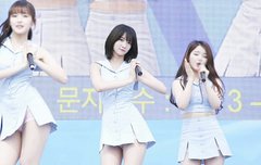 머글인데 오마이걸이