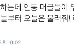 솔직히 노답아님?ㅋㅋㅋㅋㅋㅋㅋㅋㅋ