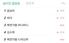 실검요정 윤보미