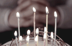 성재 섬국간다니깐