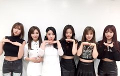 핑톡 공지(ver.0.0.1)