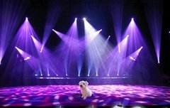 이게 뭐야ㅋㅋㅋㅋㅋㅋㅋㅋㅋㅋㅋ