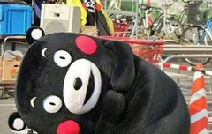 쿠마톡 공기의 흐름이....