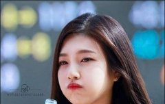 둥둥이 사진 방출