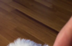 짱구오빠 보고싶다 ㅠ.ㅠ