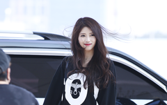 인천 공항 출,입국 짤줍한 사진들 (스압,데이터 주의)