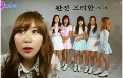 위계질서 낭낭한 핑수니들