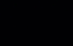 이게 판다봉이냐..