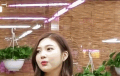 쀼식대첩+환경정리+닉주디이불빨래 에피