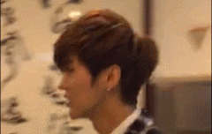 둘기 이산가족 상봉