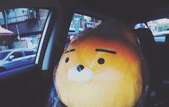 이런 곳에 이런 글 올려서 정말 죄송한데요ㅠㅠ!