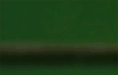 루한 드라마 [택천기] 넘 기대되는 이유