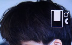 쫑인이 한국온다~